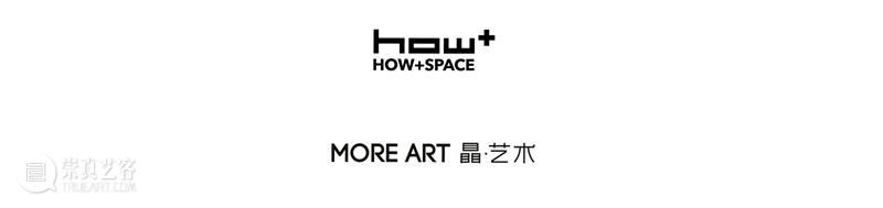 HOW+SPACE 新展预告 | 张长江:寻瑰无相 HOW+ 崇真艺客